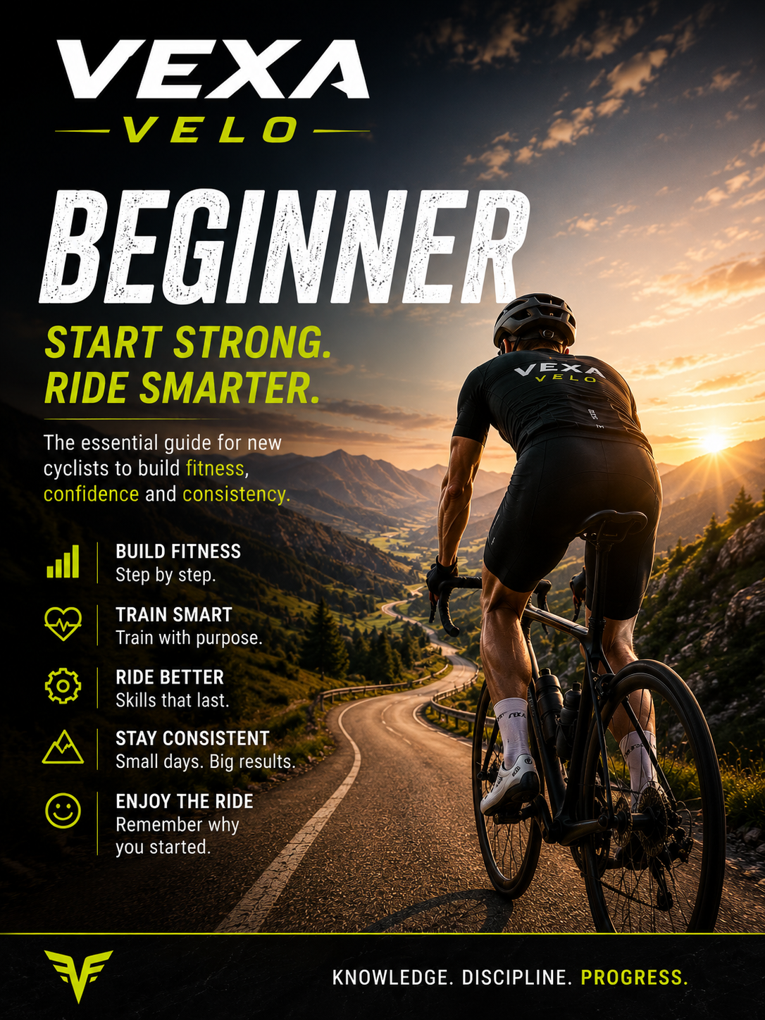 Beginner’s guide